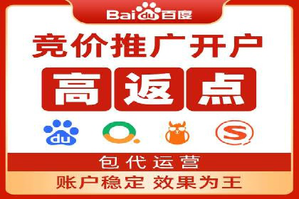 竞价推广成功案例解析